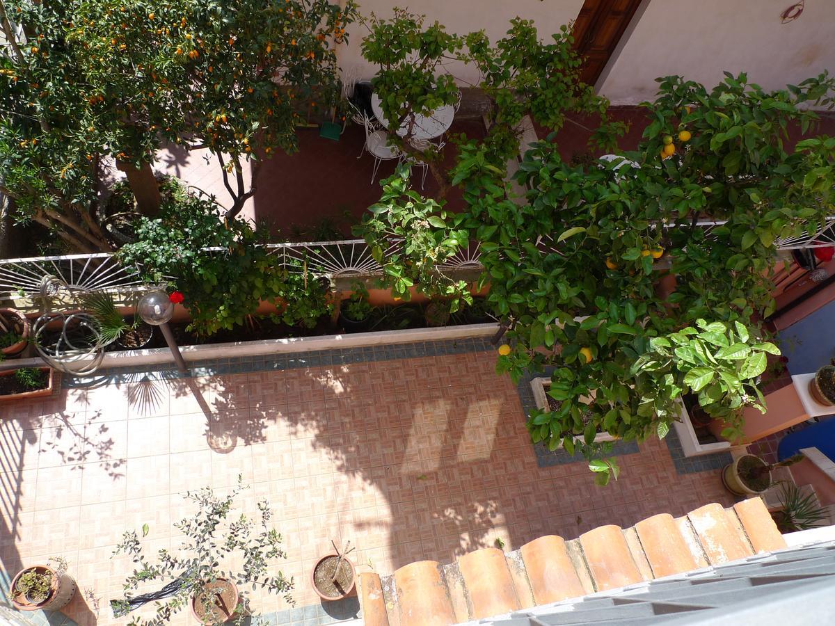 B&B Il Nido Santa Domenica  Buitenkant foto